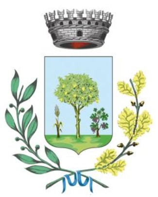  Il Consiglio comunale di San Sperate (SU) scrive al Presidente della Repubblica e al Ministro dell’Interno.